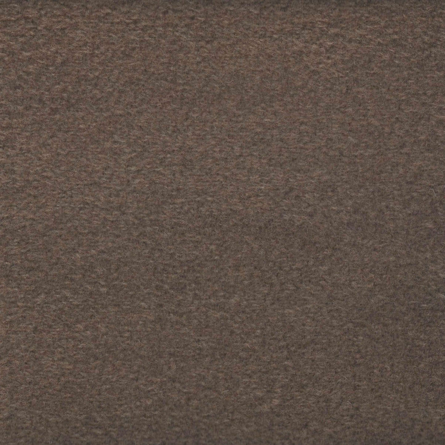 #252