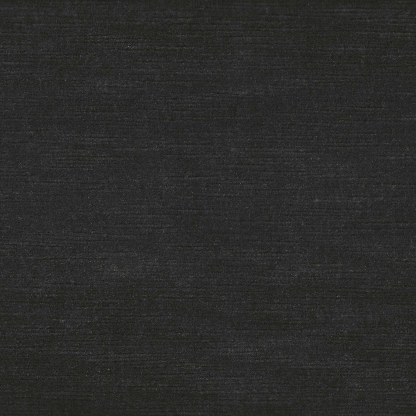 #259