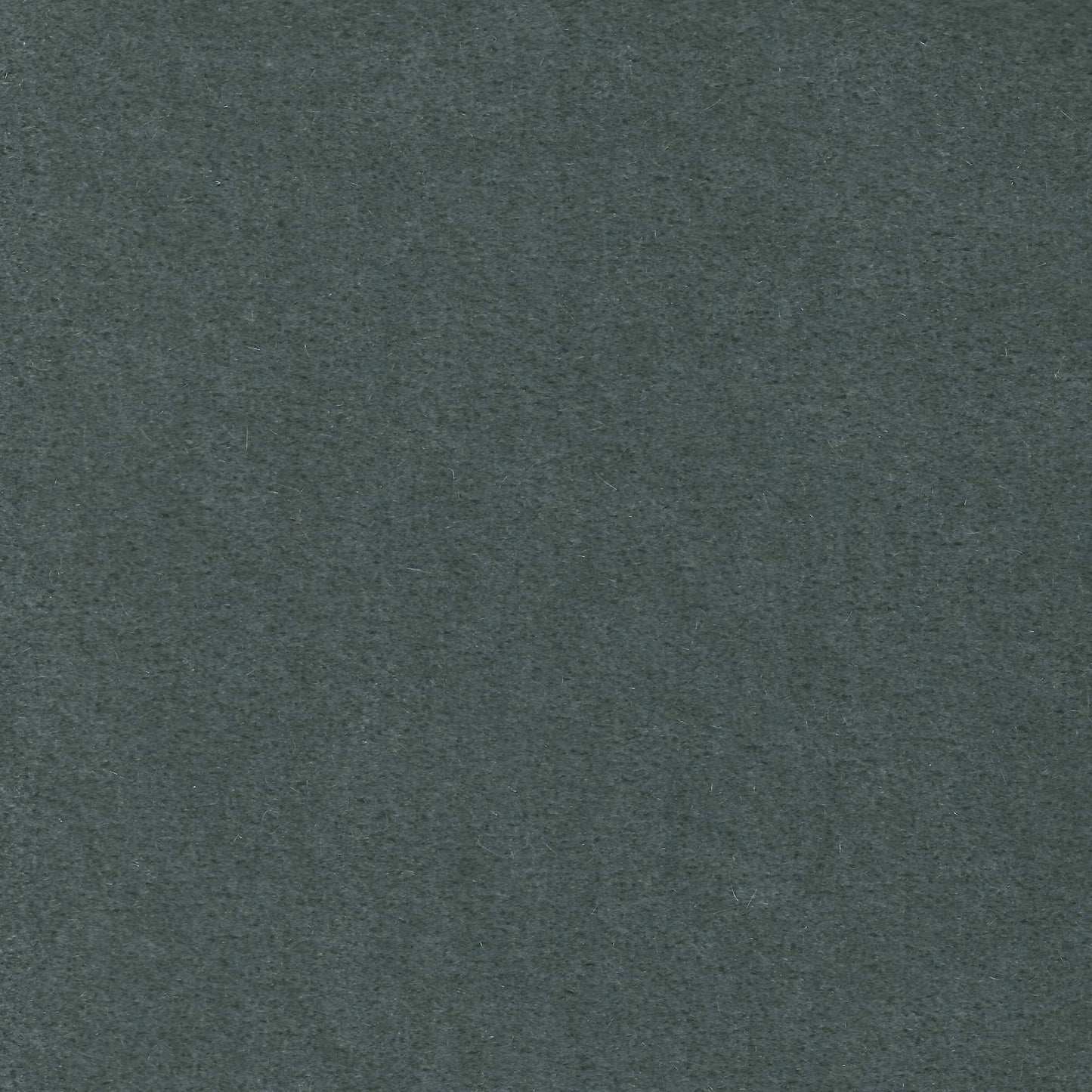 #282