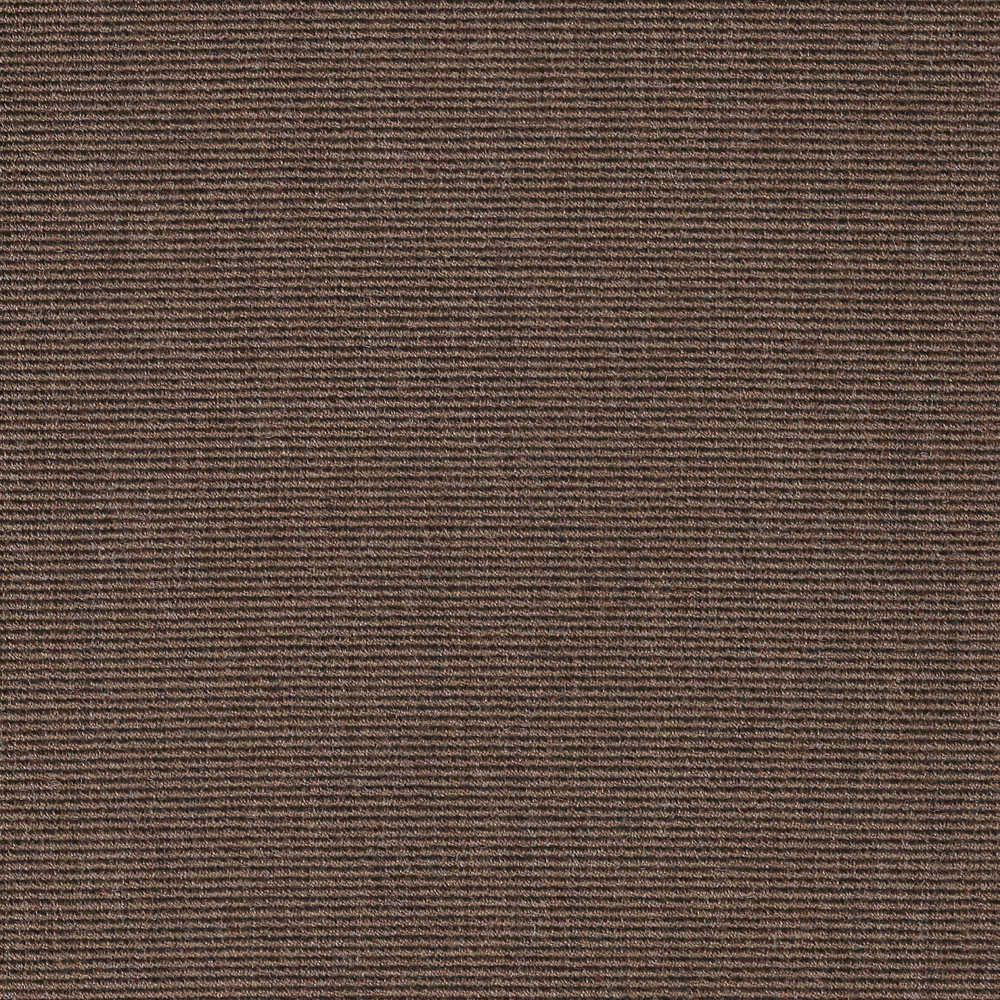 #291