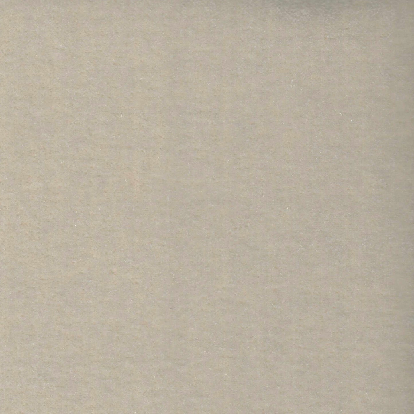 #293